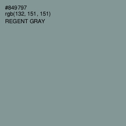 #849797 - Regent Gray Color Image